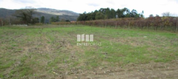 11000m² Land in Marco de Canaveses, Portugal No. 55436 15