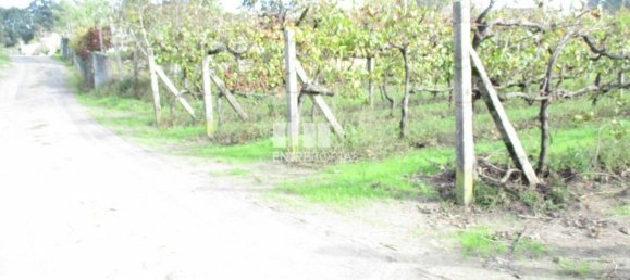 11000m² Land in Marco de Canaveses, Portugal No. 55436 41