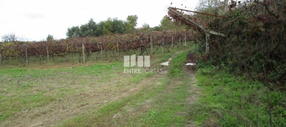 11000m² Land in Marco de Canaveses, Portugal No. 55436 12