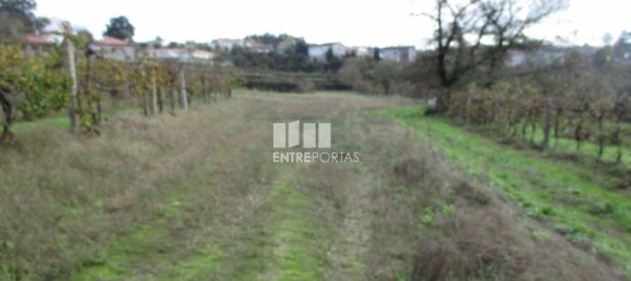 11000m² Land in Marco de Canaveses, Portugal No. 55436 31