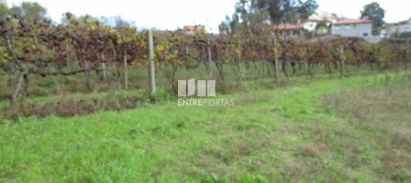 11000m² Land in Marco de Canaveses, Portugal No. 55436 28