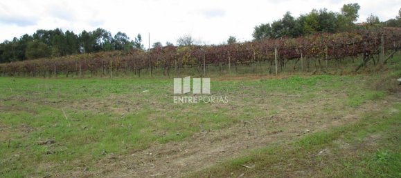 11000m² Land in Marco de Canaveses, Portugal No. 55436 14