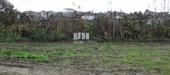 11000m² Land in Marco de Canaveses, Portugal No. 55436 11