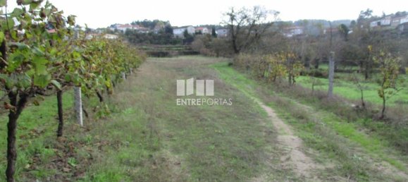 11000m² Land in Marco de Canaveses, Portugal No. 55436 33