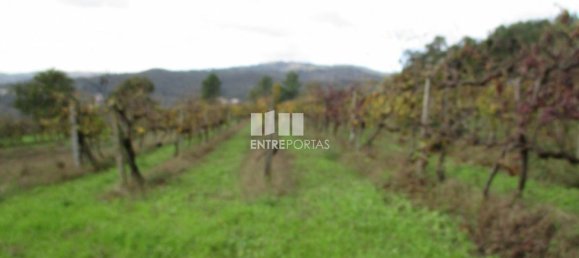 11000m² Land in Marco de Canaveses, Portugal No. 55436 27