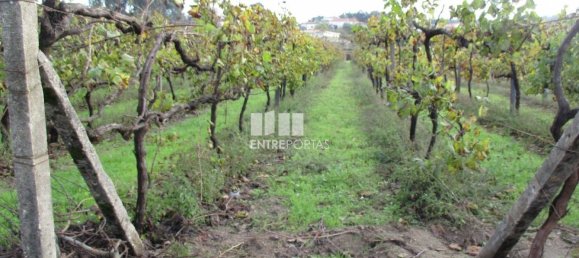 11000m² Land in Marco de Canaveses, Portugal No. 55436 38