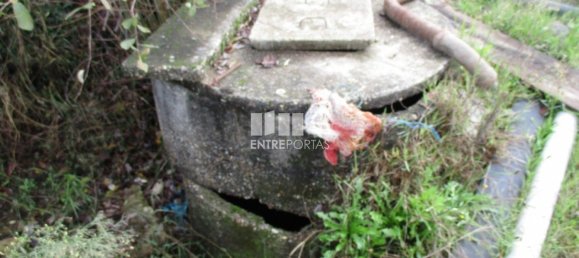 11000m² Land in Marco de Canaveses, Portugal No. 55436 17