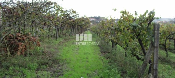 11000m² Land in Marco de Canaveses, Portugal No. 55436 37