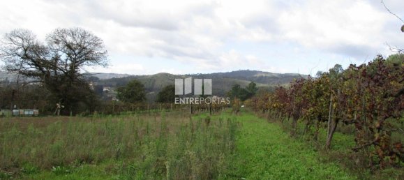 11000m² Land in Marco de Canaveses, Portugal No. 55436 8