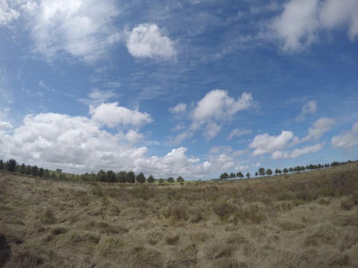 Bauernhof in Maldonado, Uruguay, Nr. 15793