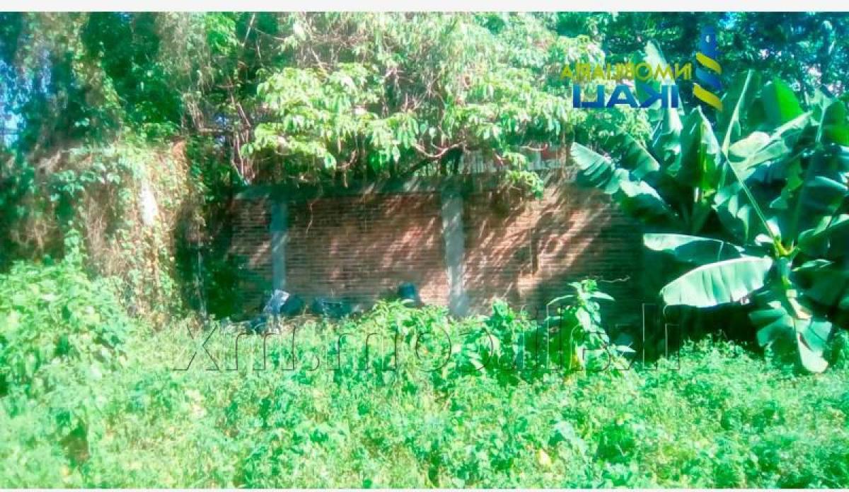 Terrain à Veracruz, Mexico No. 203586