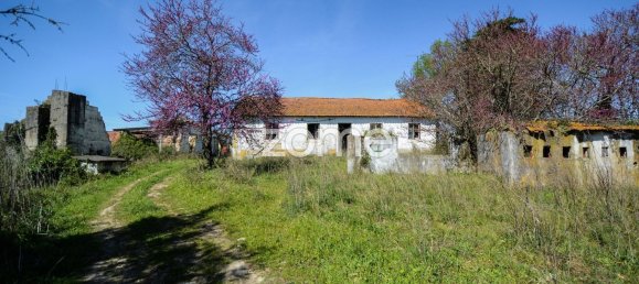 Casa T5 em Rio Maior, Portugal N.º 150836 6
