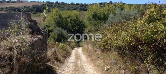 Casa T5 em Rio Maior, Portugal N.º 150836 26