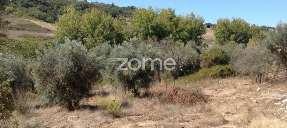 Casa T5 em Rio Maior, Portugal N.º 150836 24