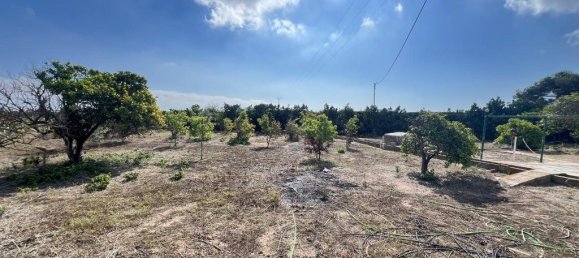 2 bedrooms House in Cullera, Spain No. 135209 29