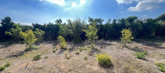 2 bedrooms House in Cullera, Spain No. 135209 9