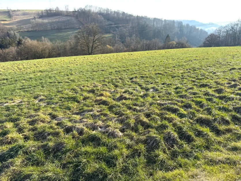  Land in Oberbergischer, Germany No. 139576