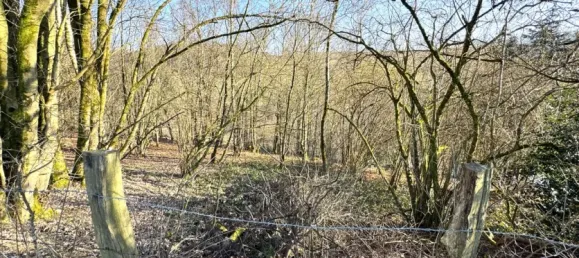 Land in Oberbergischer, Germany No. 139576 5