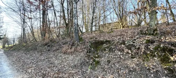 Land in Oberbergischer, Germany No. 139576 6