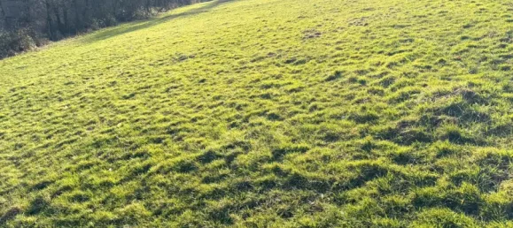 Land in Oberbergischer, Germany No. 139576 9