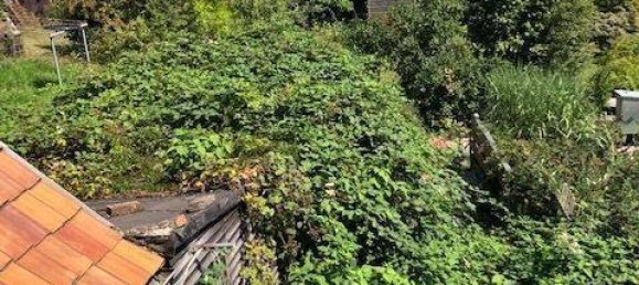 4-Zimmer Stadthaus in Zwickau, Germany, Nr. 330684 2