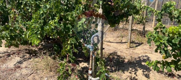 3053m² Land in Vittoria, Italy No. 319014 19