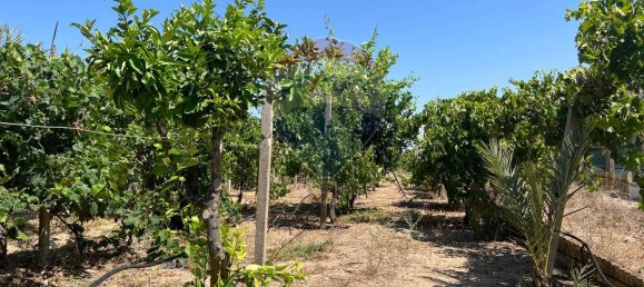 3053m² Land in Vittoria, Italy No. 319014 12