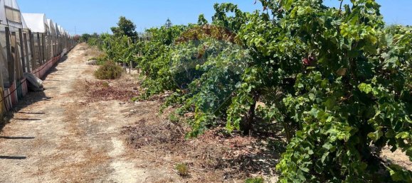 3053m² Land in Vittoria, Italy No. 319014 20