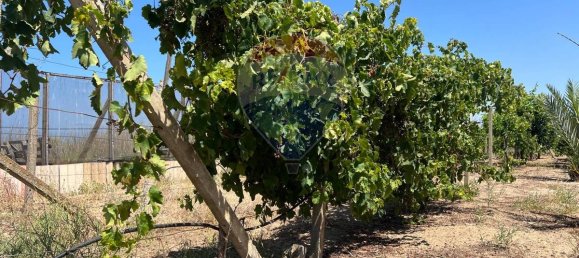 3053m² Land in Vittoria, Italy No. 319014 9