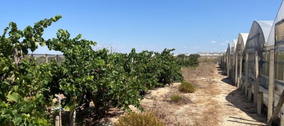 3053m² Land in Vittoria, Italy No. 319014 15