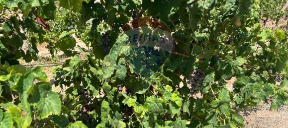 3053m² Land in Vittoria, Italy No. 319014 14