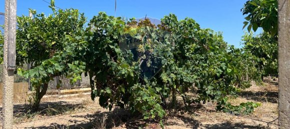 3053m² Land in Vittoria, Italy No. 319014 11