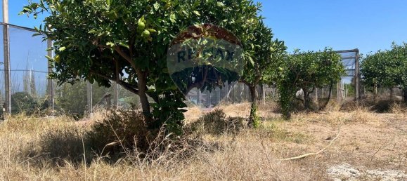 3053m² Land in Vittoria, Italy No. 319014 6