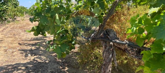 3053m² Land in Vittoria, Italy No. 319014 13