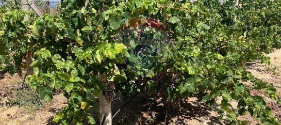 3053m² Land in Vittoria, Italy No. 319014 16