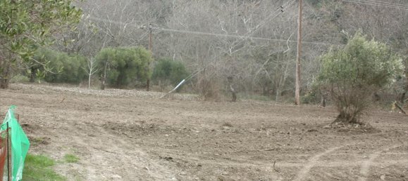 4789m² Hotel in Chalkidiki, Greece No. 8006 4