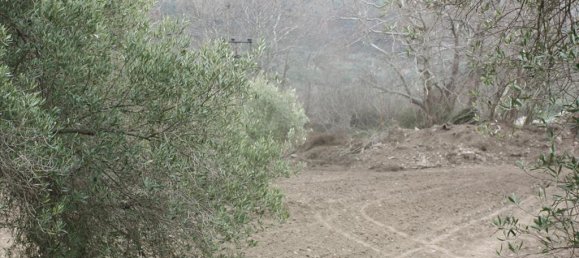 4789m² Hotel in Chalkidiki, Greece No. 8006 2