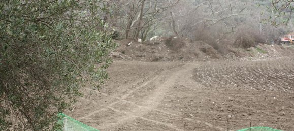 4789m² Hotel in Chalkidiki, Greece No. 8006 3