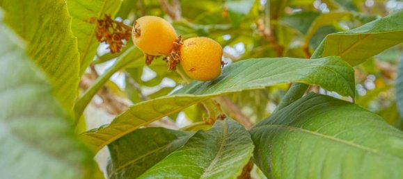 3 chambres Villa à Javea, Spain No. 12467 12