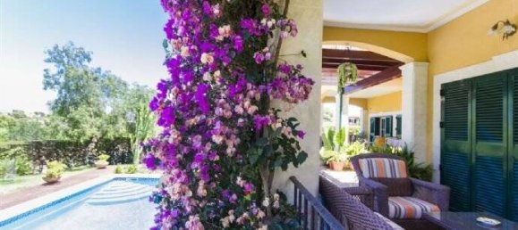 4 rooms Villa in Cottbus, Germany No. 32896 5