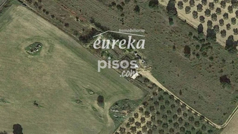  قطعة أرض في Castello d'Empuries, Spain 5515متر مربع رقم 144310