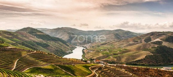 10 Schlafzimmer Schlösser in Ervedosa do Douro, Portugal, Nr. 84555 14