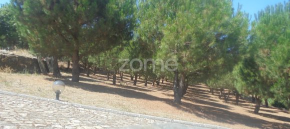 10 Schlafzimmer Schlösser in Ervedosa do Douro, Portugal, Nr. 84555 43