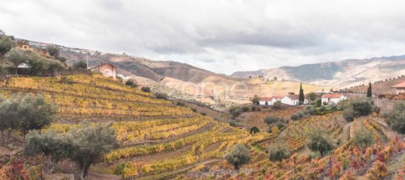 10 Schlafzimmer Schlösser in Ervedosa do Douro, Portugal, Nr. 84555 6