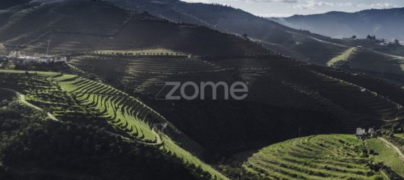 10 Schlafzimmer Schlösser in Ervedosa do Douro, Portugal, Nr. 84555 17