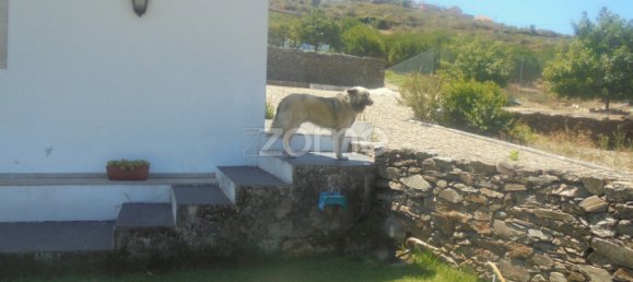 10 Schlafzimmer Schlösser in Ervedosa do Douro, Portugal, Nr. 84555 42