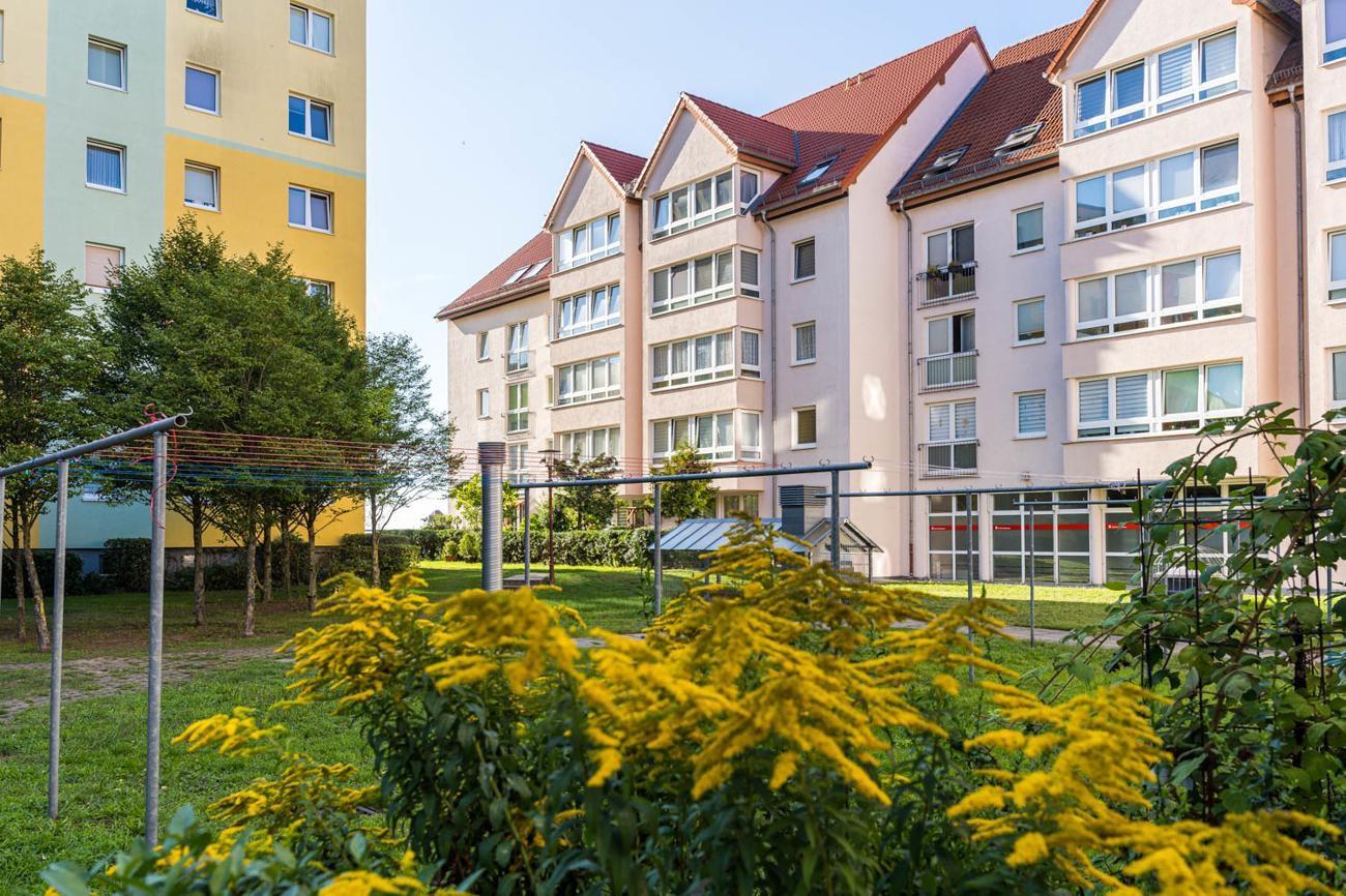 1 bedroom Apartment in Mecklenburgische Seenplatte, Germany No. 219177