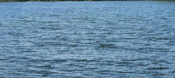 1 Schlafzimmer Wohnung in Wien, Austria, Nr. 184085 27