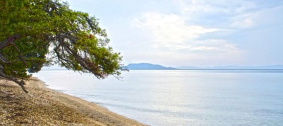 700m² Townhouse in Chalkidiki, Greece No. 5973 11