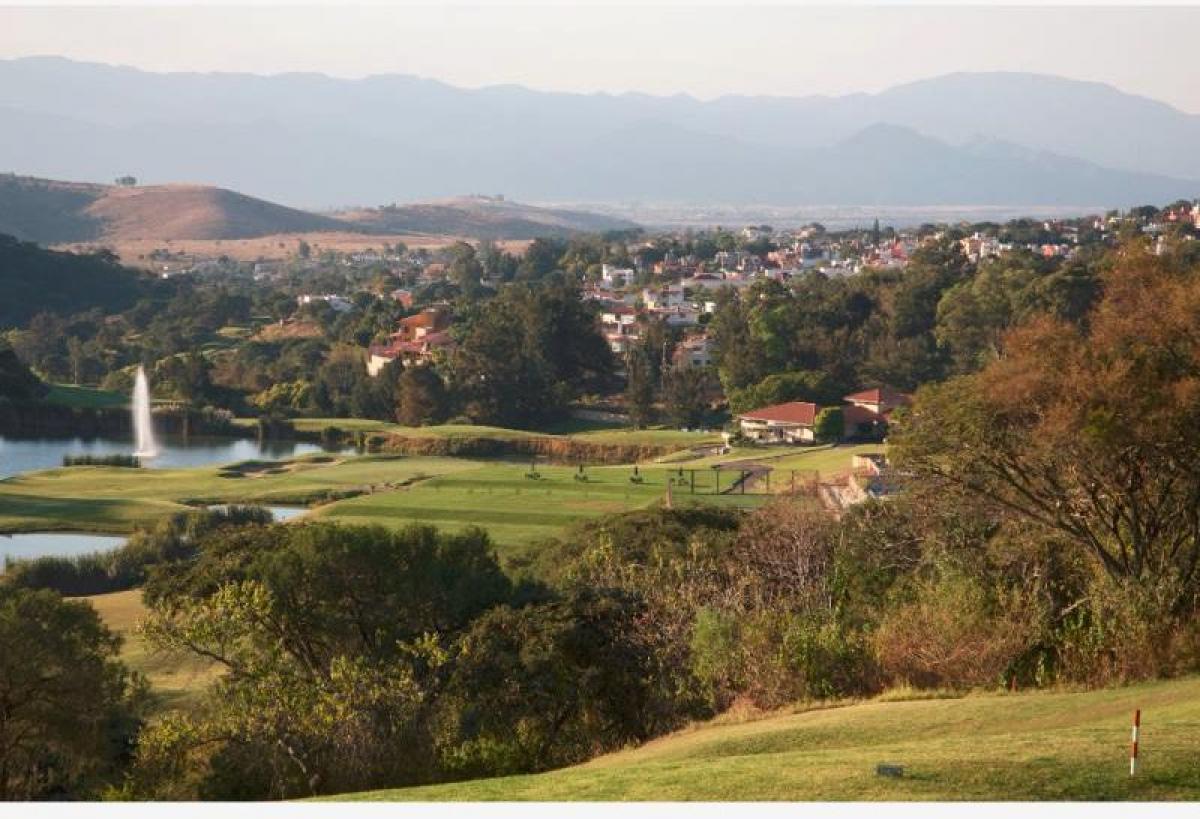  Land in Mexico No. 206221